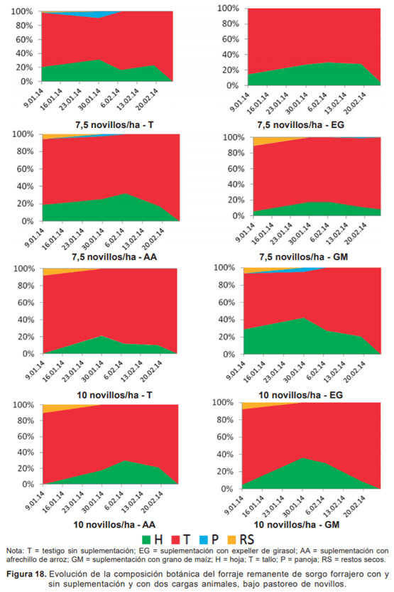 Evaluación de novillos sobre sorgo forrajero con distintas cargas y tipos de suplementación - Sistemas de engorde de novillos sobre verdeos anuales estivales en la región de basalto - Image 29