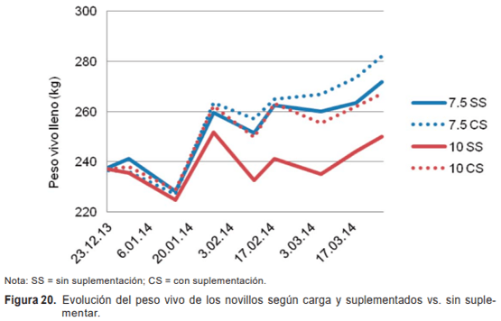 Evaluación de novillos sobre sorgo forrajero con distintas cargas y tipos de suplementación - Sistemas de engorde de novillos sobre verdeos anuales estivales en la región de basalto - Image 33