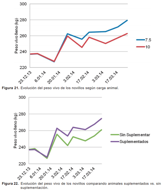 Evaluación de novillos sobre sorgo forrajero con distintas cargas y tipos de suplementación - Sistemas de engorde de novillos sobre verdeos anuales estivales en la región de basalto - Image 34