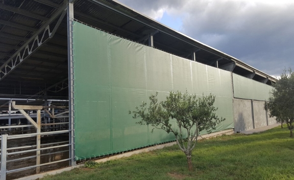 Reflexiones e ideas sobre algunos factores que pueden afectar la efectividad de mitigación del estrés por calor en granjas lecheras - Image 4