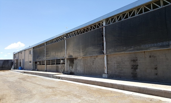 Reflexiones e ideas sobre algunos factores que pueden afectar la efectividad de mitigación del estrés por calor en granjas lecheras - Image 3