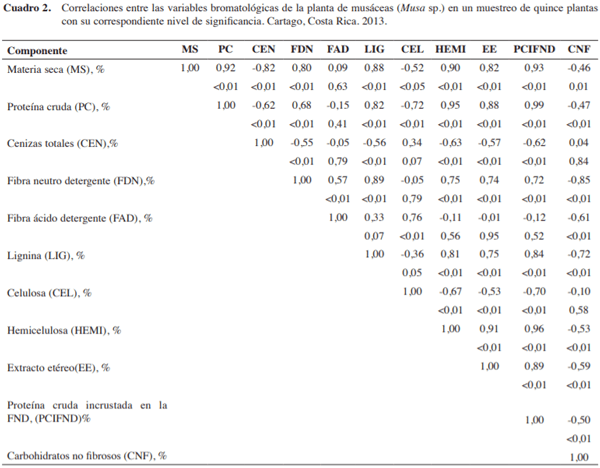 Calidad nutricional y degradabilidad ruminal de la planta del Guineo Negro (musa aaa) - Image 3