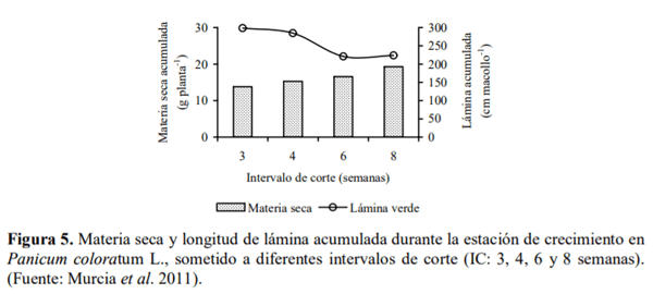 Gramíneas forrajeras perennes de crecimiento estival (C4) para la región Pampeana semiárida. En el contexto de la intensificación ganadera y del cambio climático - Image 7