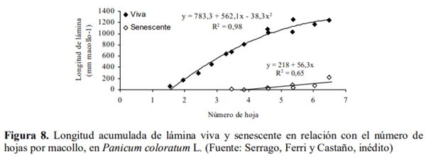 Gramíneas forrajeras perennes de crecimiento estival (C4) para la región Pampeana semiárida. En el contexto de la intensificación ganadera y del cambio climático - Image 10