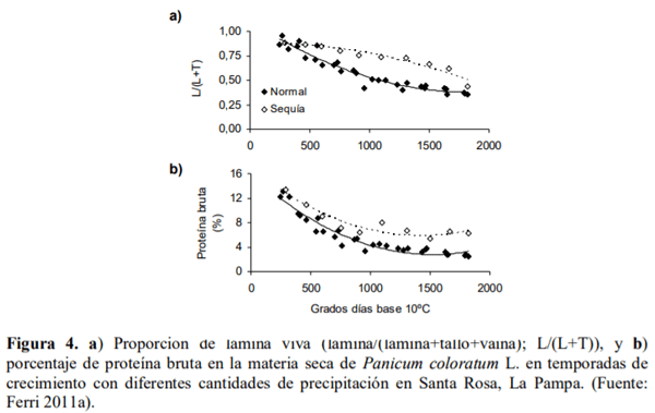 Gramíneas forrajeras perennes de crecimiento estival (C4) para la región Pampeana semiárida. En el contexto de la intensificación ganadera y del cambio climático - Image 6