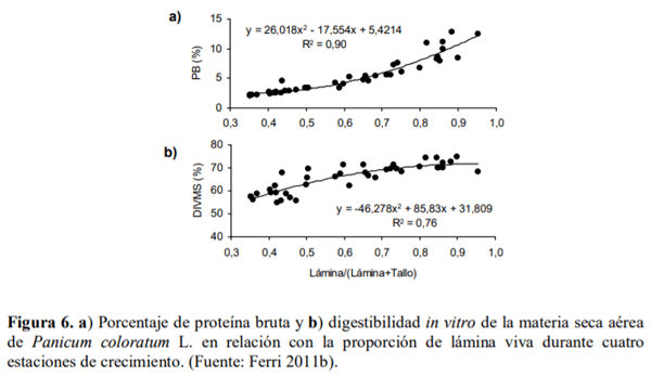 Gramíneas forrajeras perennes de crecimiento estival (C4) para la región Pampeana semiárida. En el contexto de la intensificación ganadera y del cambio climático - Image 8