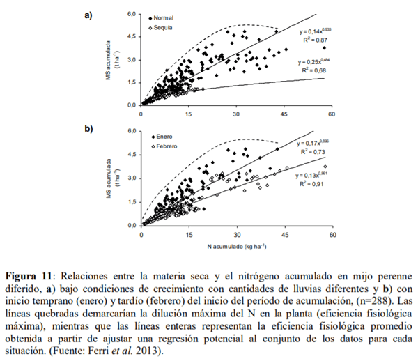 Gramíneas forrajeras perennes de crecimiento estival (C4) para la región Pampeana semiárida. En el contexto de la intensificación ganadera y del cambio climático - Image 13