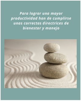 Bienestar en producción animal - Image 2