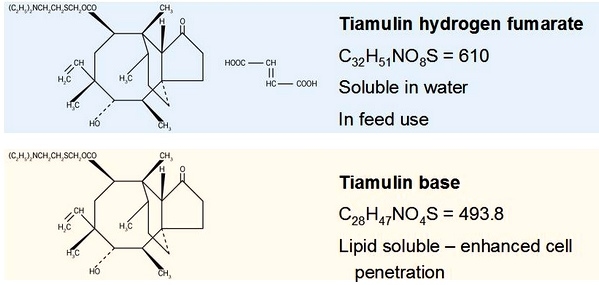 Tratamiento y control de las infecciones por Mycoplasma gallisepticum y Mycoplasma synoviae con Fumarato Hidrogenado de Tiamulina sola y en combinación con Doxiciclina - Image 2