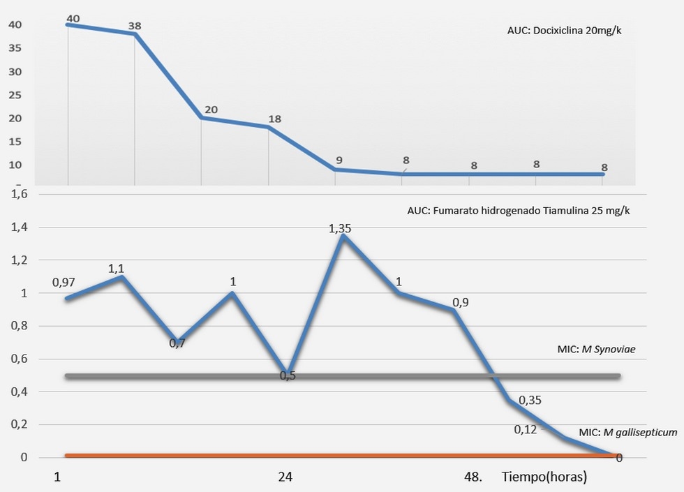 Tratamiento y control de las infecciones por Mycoplasma gallisepticum y Mycoplasma synoviae con Fumarato Hidrogenado de Tiamulina sola y en combinación con Doxiciclina - Image 4