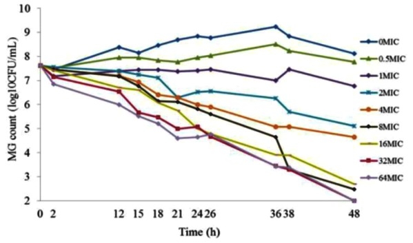 Tratamiento y control de las infecciones por Mycoplasma gallisepticum y Mycoplasma synoviae con Fumarato Hidrogenado de Tiamulina sola y en combinación con Doxiciclina - Image 3