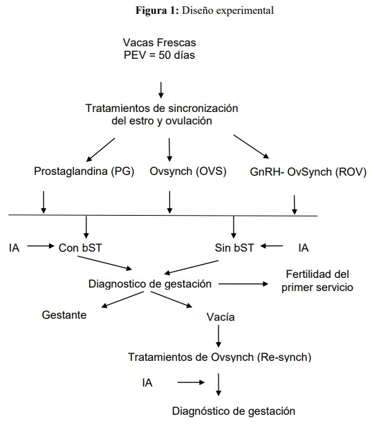 Efecto del reemplazo folicular (GnRH) y de somatotropina bovina (bST) sobre la fertilidad de vacas lecheras expuestas a estrés calórico - Image 2
