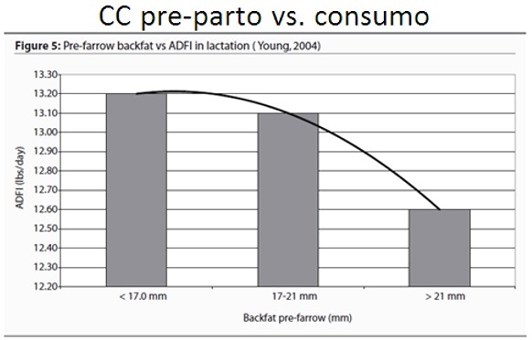 Impacto de los días no productivos (DNP) en la cantidad de lechones destetados por madre por año - Image 1
