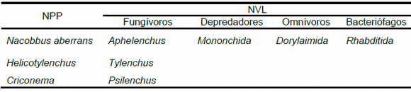 Biofumigación con Mostaza parda (Brassica juncea L. Czern.). Efecto sobre la Nematofauna del Suelo. - Image 1