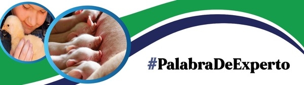 Oportunidades en el manejo de la alimentación para bajar costos de producción - Image 1