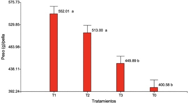 Estrategia de componentes para el manejo integrado de Plutella xylostella L. en brócoli - Image 7