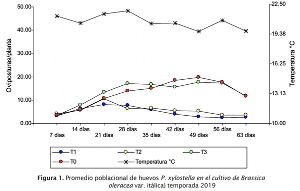 Estrategia de componentes para el manejo integrado de Plutella xylostella L. en brócoli - Image 2