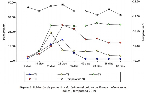 Estrategia de componentes para el manejo integrado de Plutella xylostella L. en brócoli - Image 6