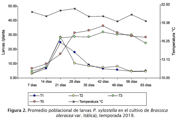 Estrategia de componentes para el manejo integrado de Plutella xylostella L. en brócoli - Image 4