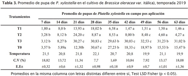 Estrategia de componentes para el manejo integrado de Plutella xylostella L. en brócoli - Image 5