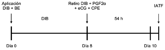 Esquema 2. Protocolo de sincronización de celo utilizando CPE como inductor de la ovulación.