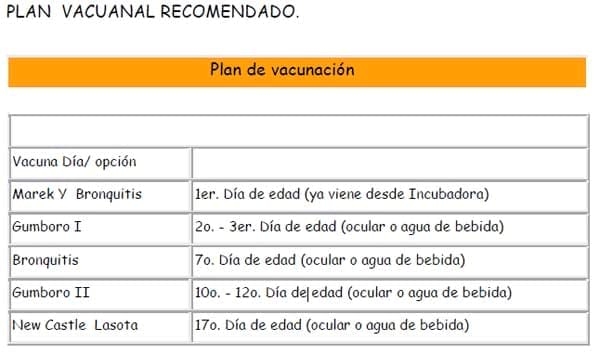 Manual práctico del pequeño productor de pollos de engorde - Image 11