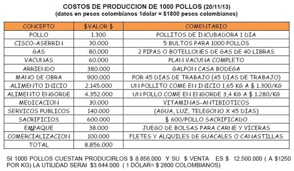Manual práctico del pequeño productor de pollos de engorde - Image 12