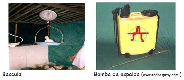 Manual práctico del pequeño productor de pollos de engorde - Image 9