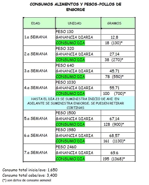 Manual práctico del pequeño productor de pollos de engorde - Image 14