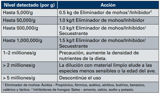 Cuadro 10. Nivel de hongos (conteo de esporas por gramo de materia prima).