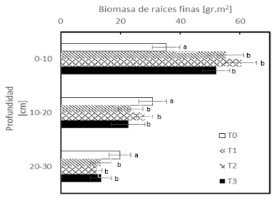 Figura 1. Distribución vertical de raíces en el primer año de crecimiento. Letras distintas indican diferencias significativas entre tratamientos (P< 0,05).