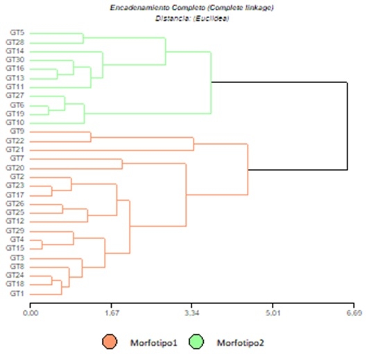 Caracterización de la variación morfotípica de Galactia texana en los Llanos de La Rioja - Image 1
