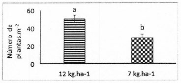 Figura 1. Número de plantas.m2 logradas a los 57días según la densidad de siembra. Letras minúsculas diferentes indican diferencias significativas (p valor< 0,05).