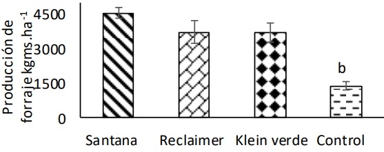 Efecto de la frecuencia de defoliación sobre la producción de forraje en especies megatérmicas en un Natracualf típico - Image 2