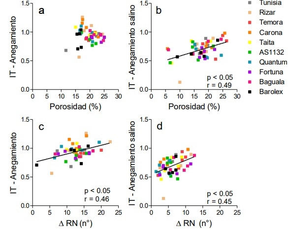 Rol de la porosidad radical en la tolerancia al anegamiento y al anegamiento salino en festuca alta - Image 1