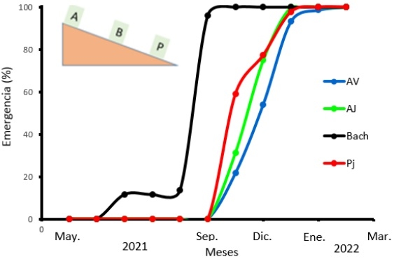 Banco de semillas en suelos de diferentes ambientes de una reserva natural del Sistema de Tandilia, Buenos Aires - Image 1