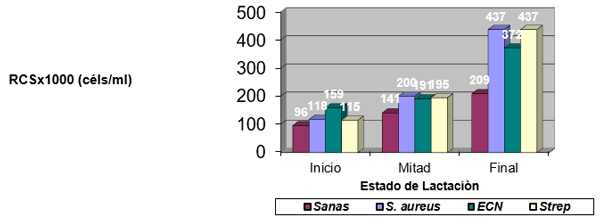 Figura 8. Media geométrica del RCS (céls/ml) en ubres sanas e infectadas por S. aureus, ECN y Streptococcus spp, según el estado de lactación (Inicio: 7-100 días; Mitad: 101-200 días; Final: > 201 días).