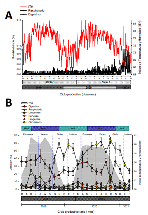 Figura 1. Distribución de las afecciones durante los ciclos productivos. A. Índice de temperatura y humedad y mortalidad diarios de las afecciones respiratorias y digestivas durante los dos ciclos productivos. B. Índice de temperatura y humedad (░), Afección del aparato digestivo (•), respiratorio (▼), Locomotor (■), Nervioso (♦), Urogenital (▲) y circulatorio (•). Las líneas verticales azules punteadas denotan el cambio de la estación. Las barras superiores denotan las épocas del año. Las barras inferiores en el eje “X” denotan los ciclos productivos analizados y la línea continua debajo de los ciclos, denotan los años de estudio (Distribution of affections during the productive cycles. A. Daily temperature and humidity index and mortality from respiratory and digestive conditions during the two production cycles. B. Temperature and humidity index (░), Affectation of the digestive (•), respiratory (▼), Locomotor (■), Nervous (♦), Urogenital (▲) and circulatory (•) systems.) Blue dotted vertical lines denote the change of season. The upper bars denote the times of the year. The lower bars on the