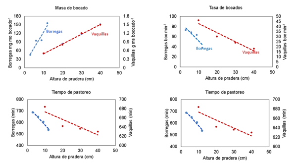 Figura 3: Consumo de forraje y componentes del comportamiento de ingestión en respuesta a la altura de pradera(29,40)