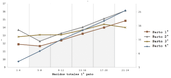 Efecto de la edad de la hembra porcina en el tamaño de camada - Image 2