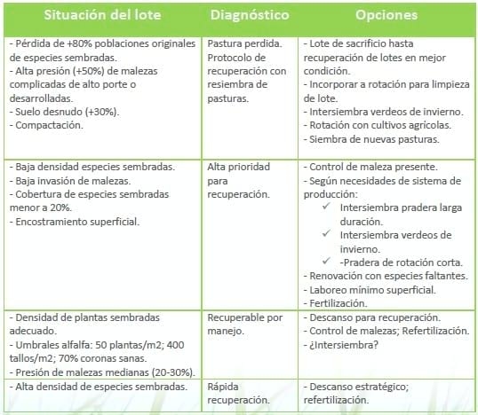 Sequías / recuperación de pasturas - Image 1