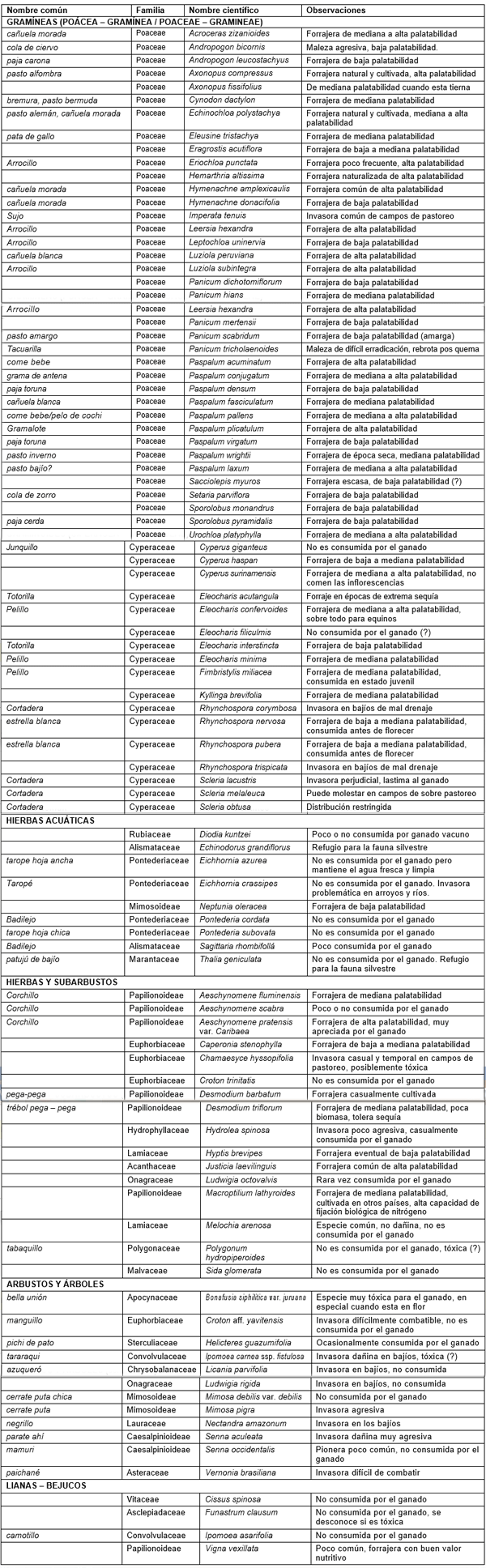 La ganadería del Beni y la calidad de los pastos nativos frente a la de los pastos introducidos - Image 7