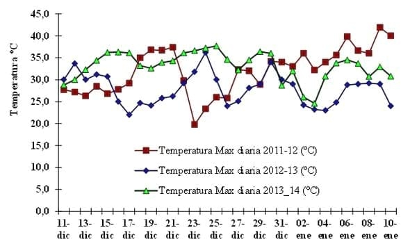 Fertilizantes complejos, Zinc y Boro en maíz. Campaña 2013-2014 - Image 3