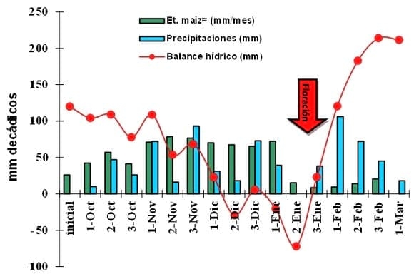 Fertilizantes complejos, Zinc y Boro en maíz. Campaña 2013-2014 - Image 1
