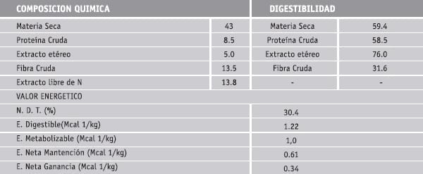 Orujos de aceituna - Image 5