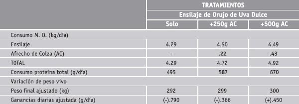 Orujos de aceituna - Image 4