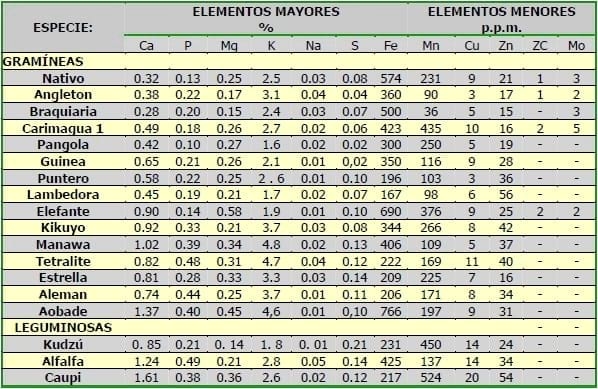El papel de la micorriza en la nutrición animal - Image 1