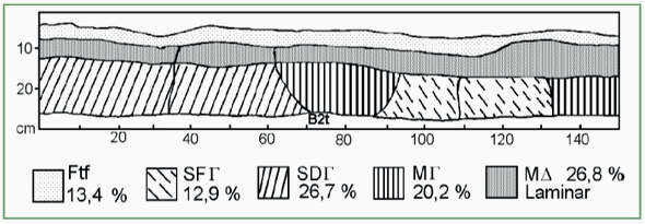 La Compactación de los Suelos bajo Agricultura - Image 3