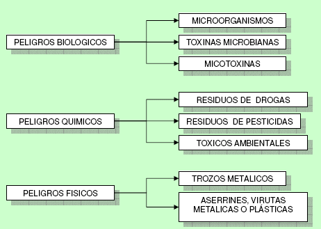 La Importancia de la Calidad e Inocuidad en el Tambo - Image 2