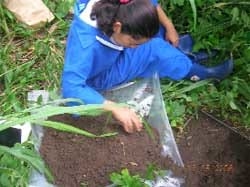 Mediciones simples para evaluar el estado de la calidad y salud del suelo bajo pasturas - Image 4